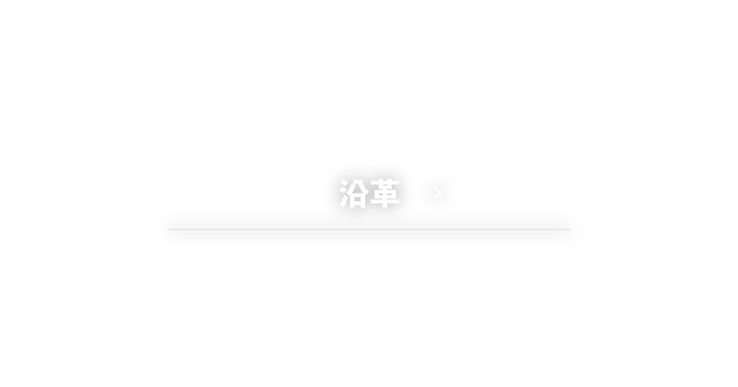 沿革